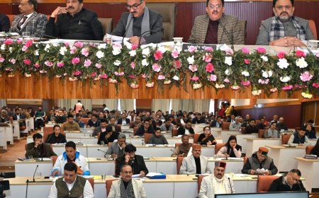 हिमाचल के विकास के लिए नाबार्ड से 713.87 करोड़ रुपये की 73 योजनाएं स्वीकृत : मुख्यमंत्री