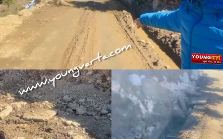 प्रदेश कांग्रेस अध्यक्ष विनय के बदहाल सड़कों को बेहतर बताने वाले दावे को भाजयुमों ने बताया झूठ का पुलिंदा 