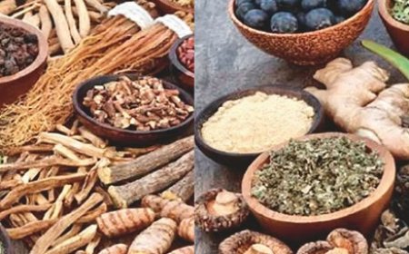 हिमालय की बेशकीमती जड़ी-बूटियों से तैयार औषधियों की देश और विदेश में खूब मांग
