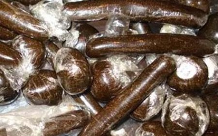 शिमला पुलिस ने चौपाल इलाके में 1.811 किलोग्राम चरस के साथ नेपाली नागरिक को किया गिरफ्तार