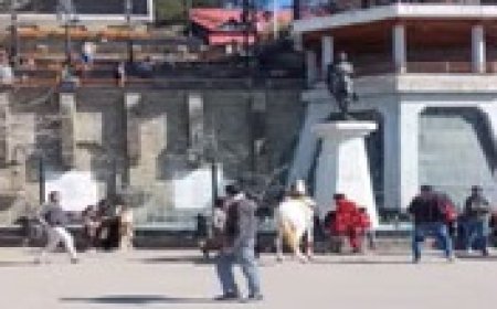 ऐतिहासिक रिज पर घुड़सवारी के दौरान बेकाबू हुआ घोड़ा, महिला गिरकर घायल