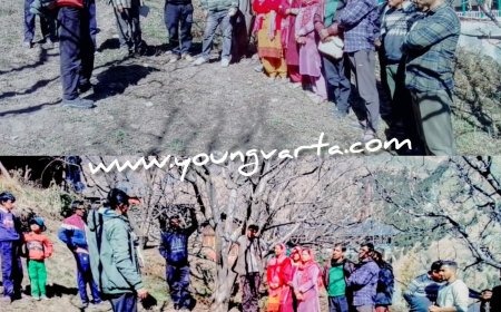 बागवान कैसे करें सेब रोग प्रबंधन की जानकारी , कृषि विज्ञान केंद्र ने लगाया   जागरूकता शिविर 