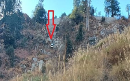 दर्दनाक : किन्नाैर में बड़ा सड़क हादसा,हादसे में चार लोगों की माैत अन्य एक घायल