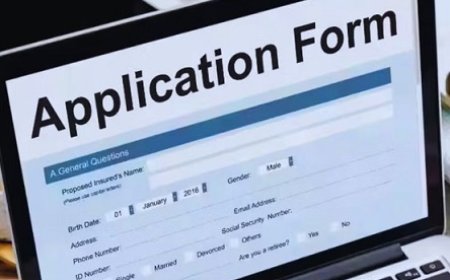 प्रदेश में अब 12वीं के बाद ही विद्यार्थी स्नातक के साथ लें सकेंगे बीएड की डिग्री,ऑनलाइन आवेदन प्रक्रिया शुरू