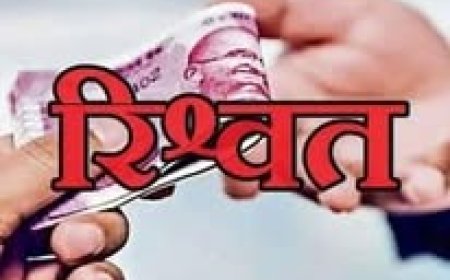 पांच हजार की रिश्वत लेते फॉरेस्ट गार्ड गिरफ्तार , विजिलेंस ने रंगे हाथों दबोचा रिश्वतखोर  