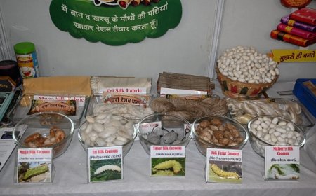 वरात्रि महोत्सव की प्रदर्शनी में आकर्षित कर रही रेशम उत्पादन से जुड़ी रोचक सामग्री