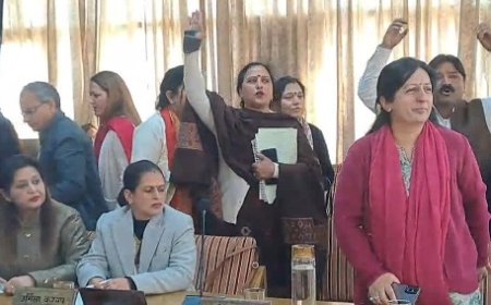 शिमला नगर निगम बजट का भाजपा पार्षदों ने किया बायकॉट, मेयर का कार्यकाल पूरा होने के बाद मेयर का कर रहे विरोध 
