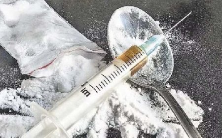 चिट्टा जन-आंदोलन के तहत चिट्टा-मुक्त हिमाचल के लक्ष्य को आगे बढ़ाते हुए पुलिस ने नशा तस्करों पर कसा शिकंजा 