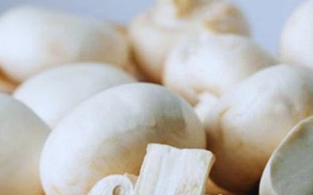 स्कूलों में मिड-डे मील में अब बच्चों को परोसी जाएंगी प्रोटीन से भरपूर मशरूम  