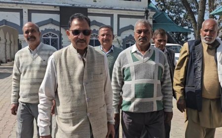 जिला परिषद वार्ड का नाम बदले जाने पर जताई आपत्ति , भंगानी वार्ड के लोगों ने डीसी प्रियंका वर्मा से की मुलाकात