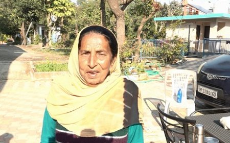 सफलता की कहानी : रिटायर्ड टीचर शीला देवी ने प्राकृतिक खेती से उगाया कई क्विंटल आलू