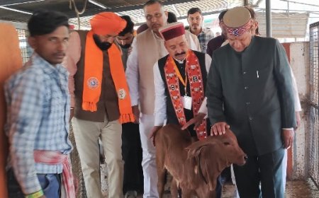 सड़कों की बदहाली और बेसहारा गौवंश से बढ़ीं दुर्घटनाएं, कांग्रेस सरकार जिम्मेदार : डॉ.बिंदल