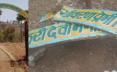 किकरी पार्क संगड़ाह में तेंदुए ने  दिन दहाड़े पांच बकरियों का किया शिकार,27 लाख का पार्क फेंसिंग टूटने से बना पशुओं का चरागाह 