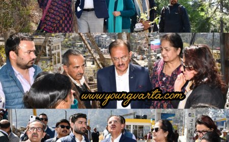 उद्योग मंत्री ने नुकसान दायक वृक्षों को हटाने के लिए प्रस्तावित स्थलों का किया निरीक्षण