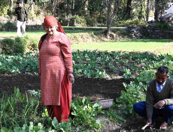 रंग लाने लगे ‘सुख की सरकार’ के प्रयासः प्राकृतिक खेती से आत्मनिर्भरता की मिसाल बने टिक्करी मुशैहरा के अजय कुमार