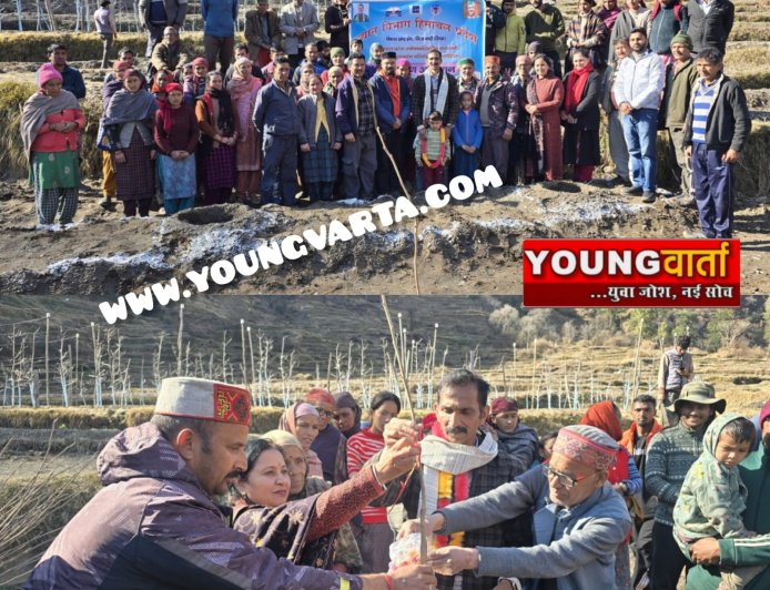 चौहार घाटी के धमच्याण और बड़ी बजगाण क्लस्टर में पौधारोपण अभियान एवं प्रशिक्षण शिविर का आयोजन