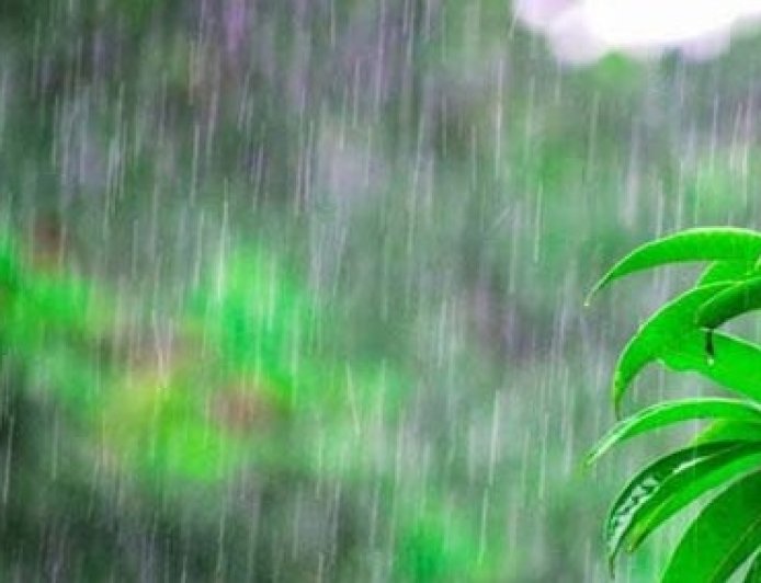 प्रदेश में पिछले दिनों हुई बर्फबारी के बाद कई क्षेत्रों में कड़ाके की ठंड,कुकुमसेरी में सीजन की सबसे ठंडी रात दर्ज 