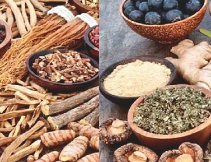 हिमालय की बेशकीमती जड़ी-बूटियों से तैयार औषधियों की देश और विदेश में खूब मांग