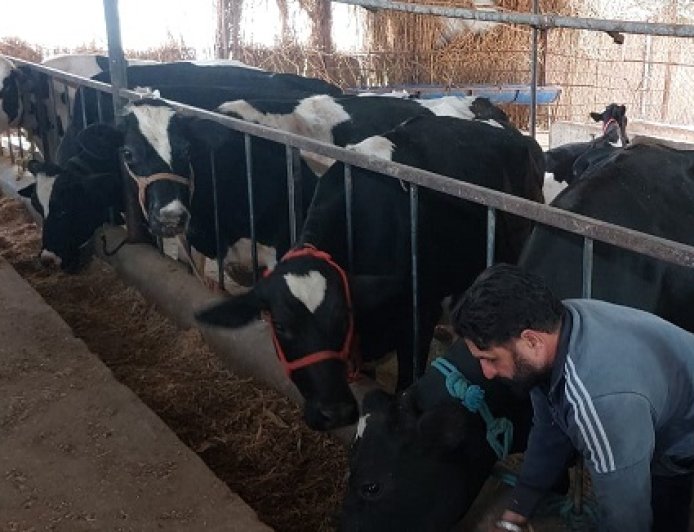 ग्रामीण अर्थव्यवस्था की मज़बूत मिसाल बना ठाकराँ का डेयरी फार्मर जरनैल सिंह