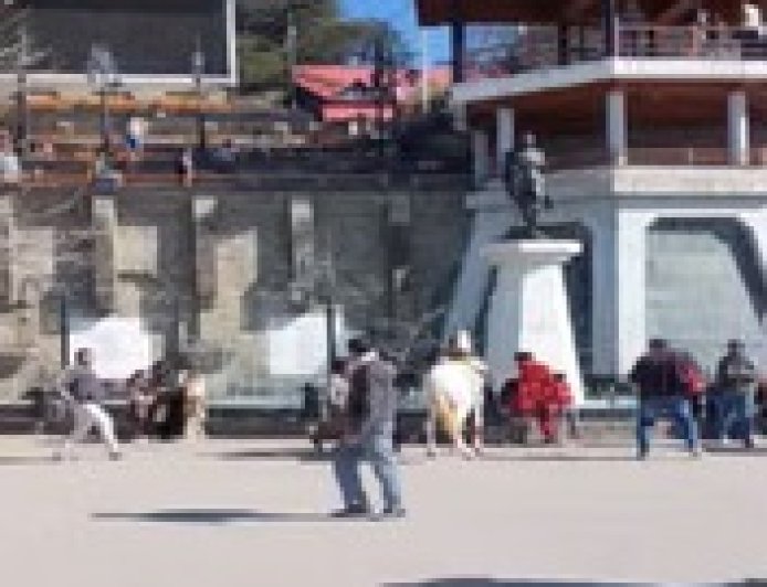 ऐतिहासिक रिज पर घुड़सवारी के दौरान बेकाबू हुआ घोड़ा, महिला गिरकर घायल