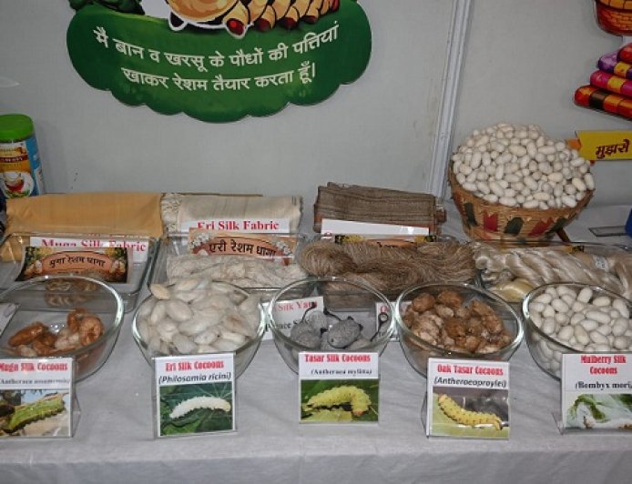 वरात्रि महोत्सव की प्रदर्शनी में आकर्षित कर रही रेशम उत्पादन से जुड़ी रोचक सामग्री