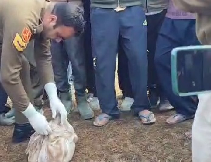 कांगड़ा की खोली पंचायत में सडक़ किनारे नवजात बच्चे का शव मिलने से फैली सनसनी 