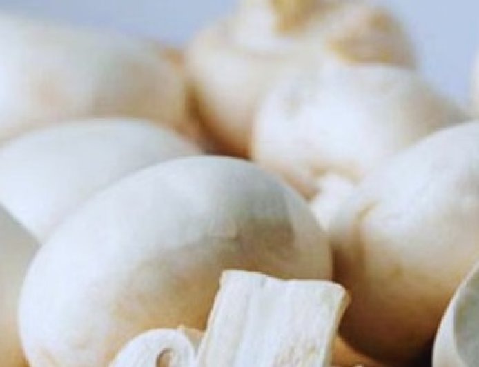 स्कूलों में मिड-डे मील में अब बच्चों को परोसी जाएंगी प्रोटीन से भरपूर मशरूम  