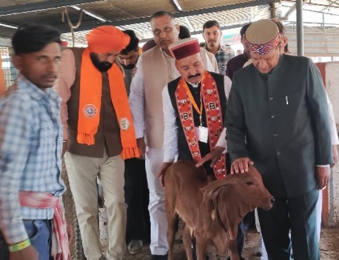 सड़कों की बदहाली और बेसहारा गौवंश से बढ़ीं दुर्घटनाएं, कांग्रेस सरकार जिम्मेदार : डॉ.बिंदल