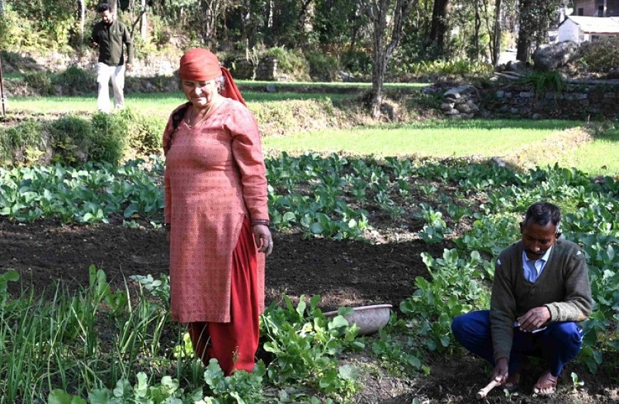 रंग लाने लगे ‘सुख की सरकार’ के प्रयासः प्राकृतिक खेती से आत्मनिर्भरता की मिसाल बने टिक्करी मुशैहरा के अजय कुमार