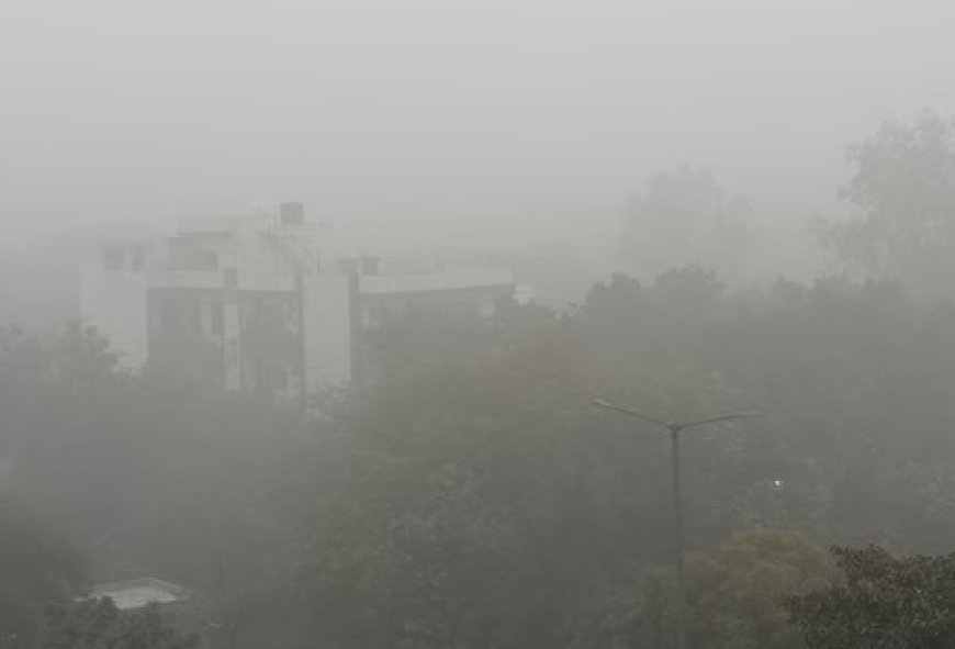प्रदेश के कुछ जिलों में सुबह और शाम के समय घना कोहरा पड़ने का येलो अलर्ट जारी