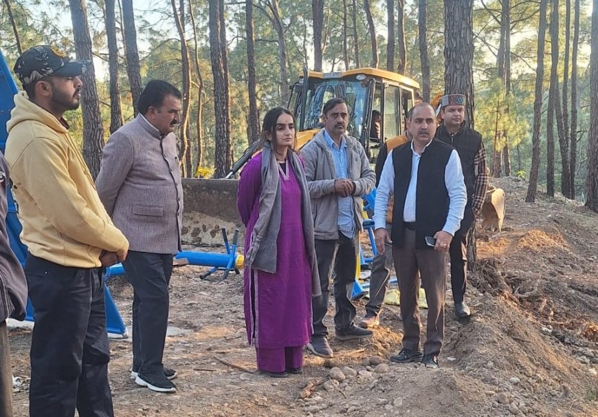 निर्माणाधीन प्रोजेक्टों के कार्यों में तेजी और गुणवत्ता सुनिश्चित करें अधिकारी , डीसी ने दिए निर्देश