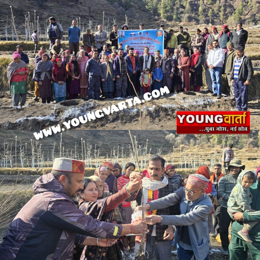 चौहार घाटी के धमच्याण और बड़ी बजगाण क्लस्टर में पौधारोपण अभियान एवं प्रशिक्षण शिविर का आयोजन