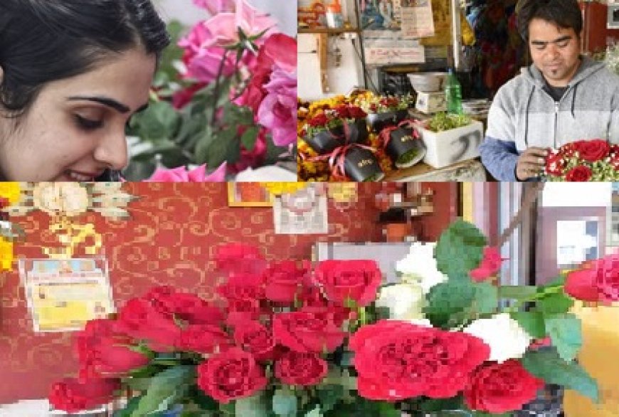 वेलेंटाइन डे को लेकर प्रदेश के बाजार में गुलाब के फूलों का कारोबार पकड़ने लगा गति  