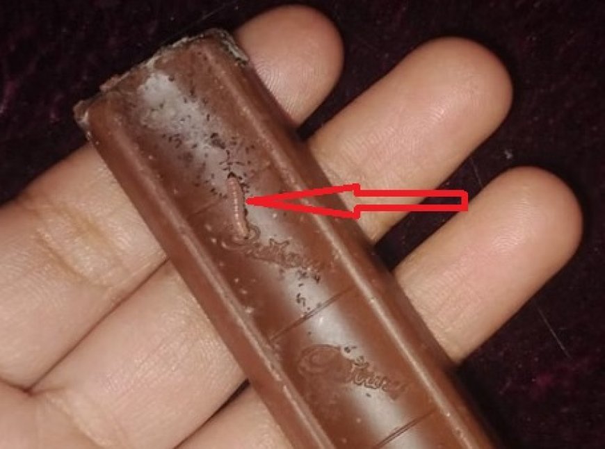 बिलासपुर में नामी कंपनी की चॉकलेट के अंदर से जिंदा कीड़ा और अंडे निकलने से मचा हड़कंप  