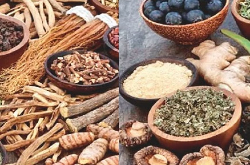 हिमालय की बेशकीमती जड़ी-बूटियों से तैयार औषधियों की देश और विदेश में खूब मांग