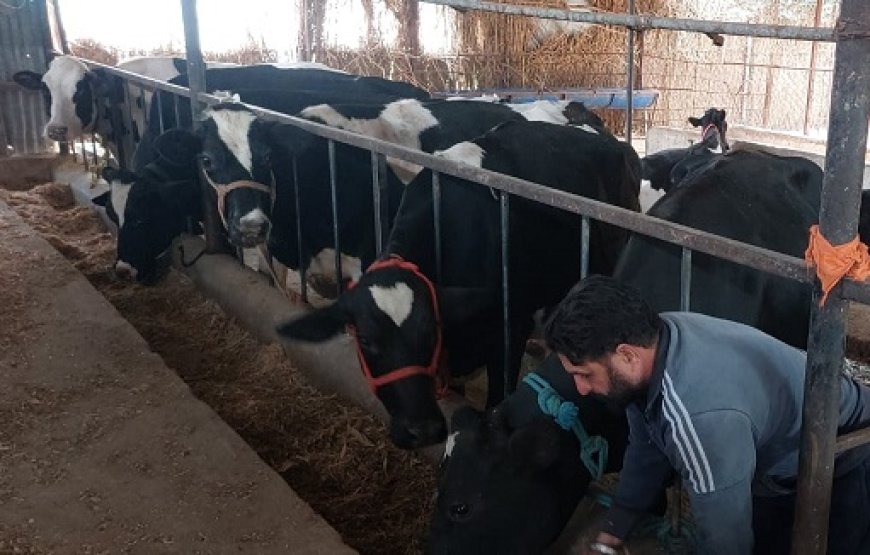 ग्रामीण अर्थव्यवस्था की मज़बूत मिसाल बना ठाकराँ का डेयरी फार्मर जरनैल सिंह