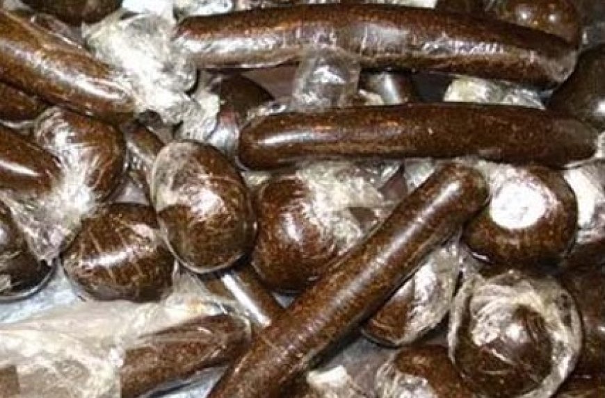 शिमला पुलिस ने चौपाल इलाके में 1.811 किलोग्राम चरस के साथ नेपाली नागरिक को किया गिरफ्तार