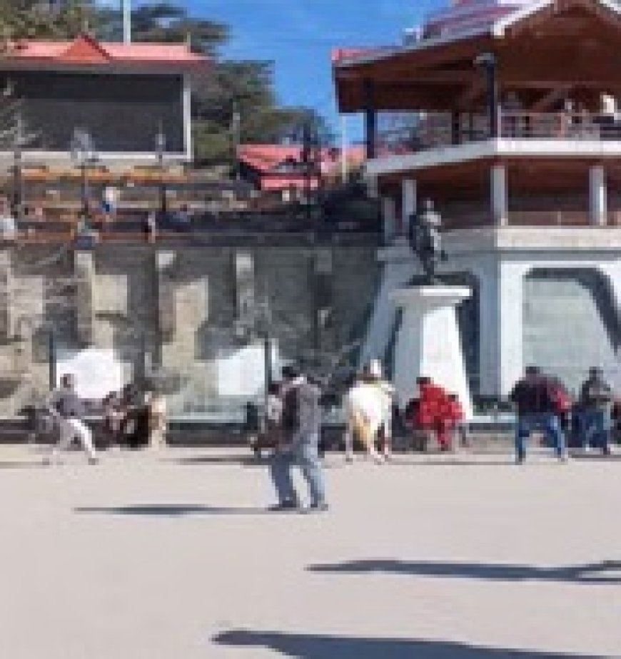 ऐतिहासिक रिज पर घुड़सवारी के दौरान बेकाबू हुआ घोड़ा, महिला गिरकर घायल