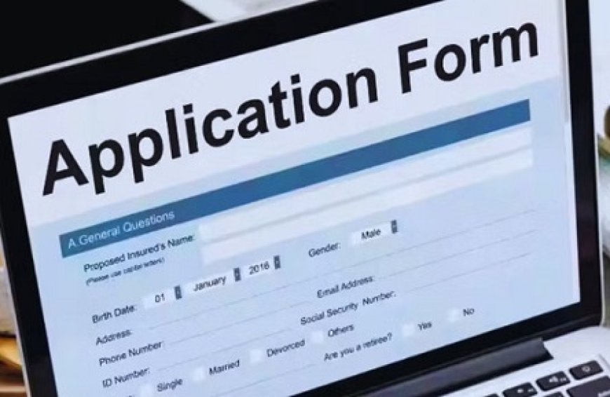 प्रदेश में अब 12वीं के बाद ही विद्यार्थी स्नातक के साथ लें सकेंगे बीएड की डिग्री,ऑनलाइन आवेदन प्रक्रिया शुरू