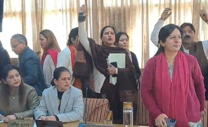 शिमला नगर निगम बजट का भाजपा पार्षदों ने किया बायकॉट, मेयर का कार्यकाल पूरा होने के बाद मेयर का कर रहे विरोध 