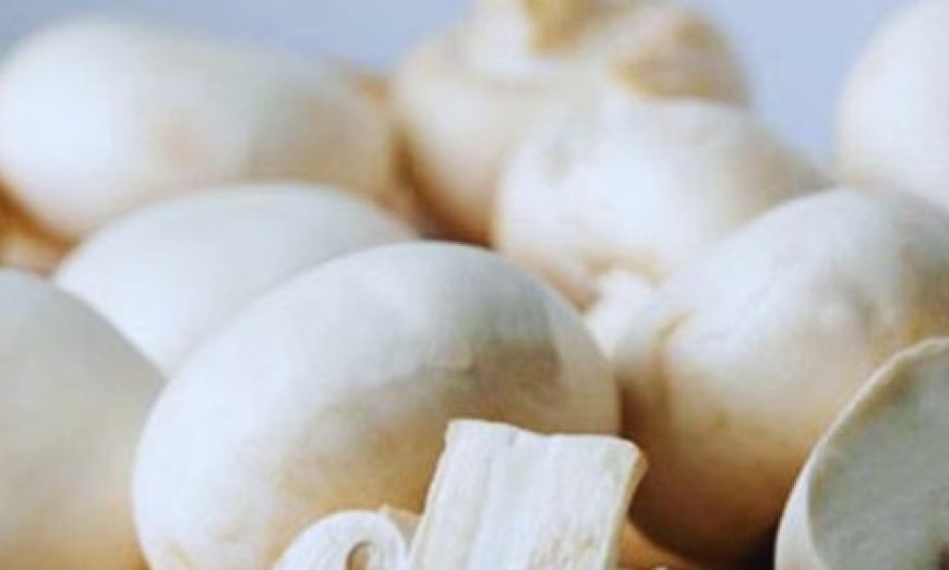 स्कूलों में मिड-डे मील में अब बच्चों को परोसी जाएंगी प्रोटीन से भरपूर मशरूम  