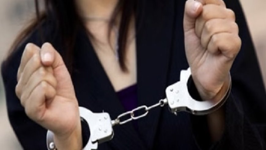 युवाओं को शिकार बनाने वाले एक बड़े गिरोह का पर्दाफाश,शिमला पुलिस ने आरोपी महिला को किया गिरफ्तार