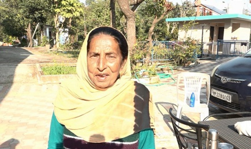 सफलता की कहानी : रिटायर्ड टीचर शीला देवी ने प्राकृतिक खेती से उगाया कई क्विंटल आलू