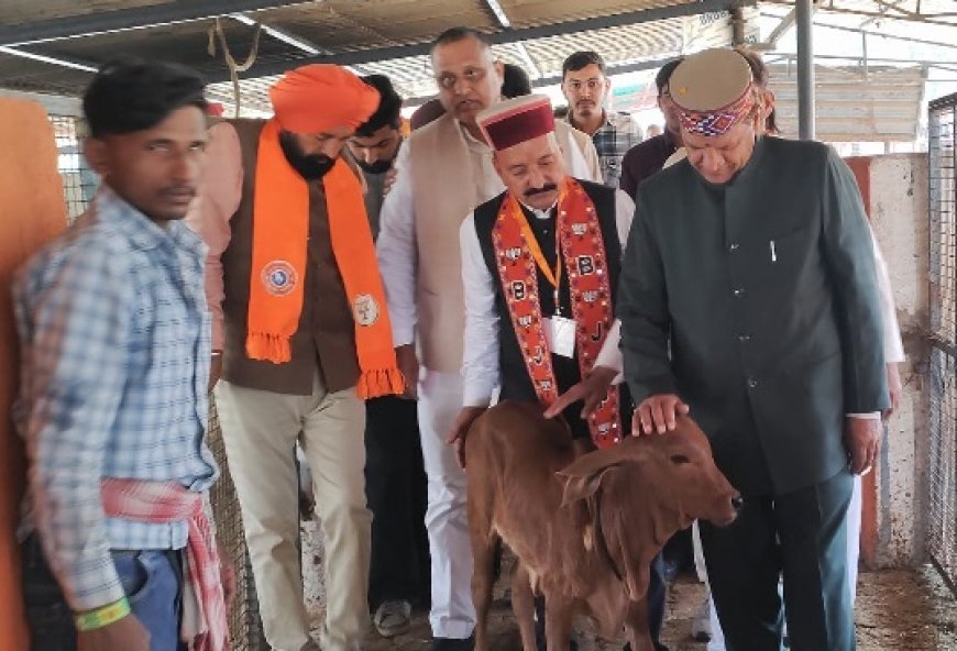 सड़कों की बदहाली और बेसहारा गौवंश से बढ़ीं दुर्घटनाएं, कांग्रेस सरकार जिम्मेदार : डॉ.बिंदल