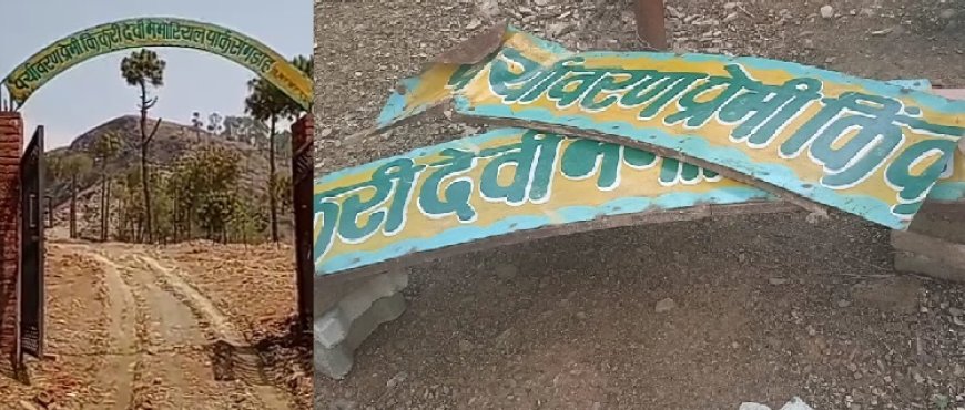 किकरी पार्क संगड़ाह में तेंदुए ने  दिन दहाड़े पांच बकरियों का किया शिकार,27 लाख का पार्क फेंसिंग टूटने से बना पशुओं का चरागाह 