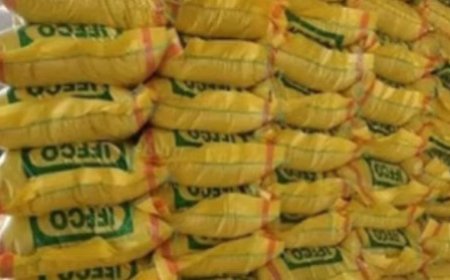 प्रदेश में हाथोंहाथ बिक रही यूरिया खाद,किसानों और बागवानों के लिए इफको विक्रय केंद्र में खाद उपलब्ध