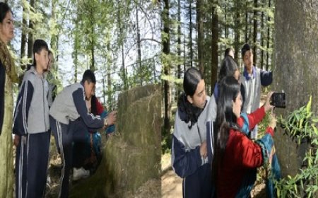 शिमला का एक छोटा सा कस्बा चियोग इन दिनों पूरे प्रदेश में बना चर्चा का केंद्र जानिए कैसे 