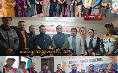 कोटखाई के यदुराज चौहान बने हिमाचल टेनिस वॉलीबॉल संघ के अध्यक्ष