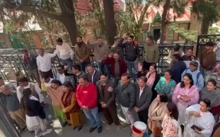 एमसी शिमला के मेयर सुरेंद्र चौहान के ख़िलाफ भाजपा का प्रदर्शन, पार्षद बिट्टू कुमार से बदसलूकी का आरोप