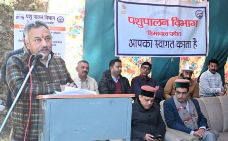 शिक्षा मंत्री ने कोटखाई में विभिन्न विकास कार्यों का किया लोकार्पण